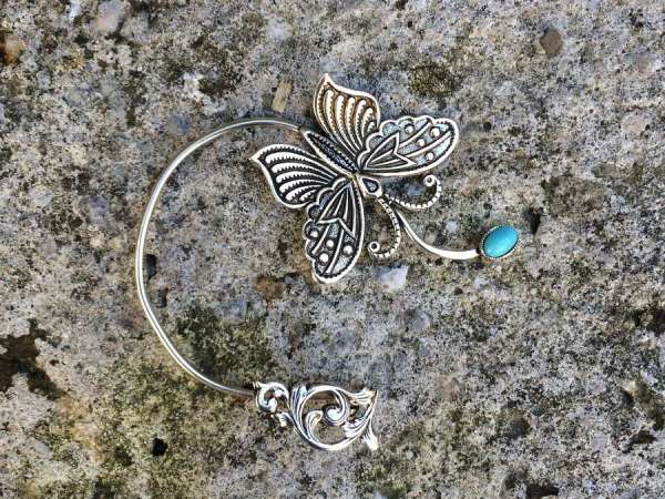 Tour d'Oreille Papillon et sa couleur